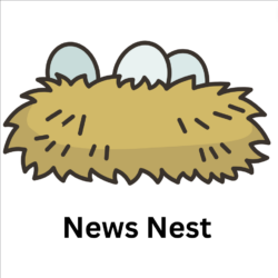 News Nest